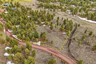 14 County Road N 1332, Greer, AZ 85927 - Photo 1