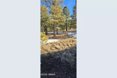 20 County Road N1332, Greer, AZ 85927 - Photo 9