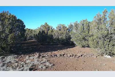 346 Cr Road, Concho, AZ 85924 - Photo 17