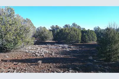 346 Cr Road, Concho, AZ 85924 - Photo 15