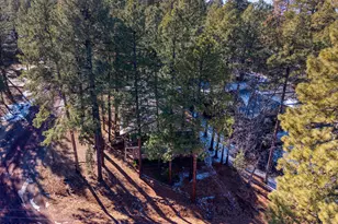 6689 Country Club Dr, Pinetop, AZ 85935 - Photo 29