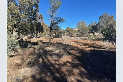 5029 Deer Valley, Lakeside, AZ 85929 - Photo 5