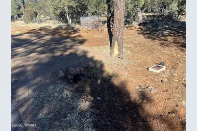 5029 Deer Valley, Lakeside, AZ 85929 - Photo 9