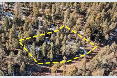 9 County Rd 2073, Alpine, AZ 85920 - Photo 1