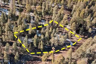 9 County Rd 2073, Alpine, AZ 85920 - Photo 1