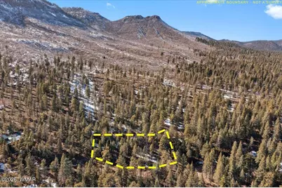 9 County Rd 2073, Alpine, AZ 85920 - Photo 5
