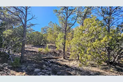 76 N3130, Vernon, AZ 85940 - Photo 5