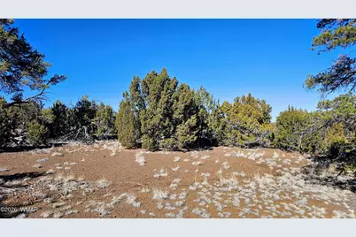 76 N3130, Vernon, AZ 85940 - Photo 9