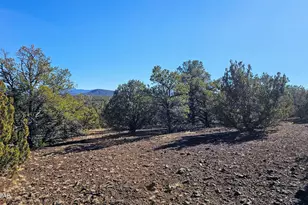 76 N3130, Vernon, AZ 85940 - Photo 1