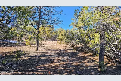 76 N3130, Vernon, AZ 85940 - Photo 3
