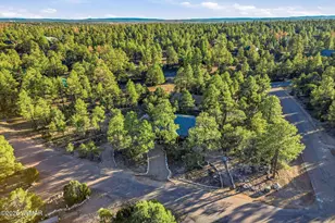2225 Roundabout Way, Overgaard, AZ 85933 - Photo 23