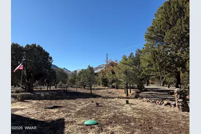 2 County Road N2160, Nutrioso, AZ 85932 - Photo 27