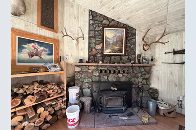 2 County Road N2160, Nutrioso, AZ 85932 - Photo 7