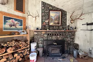 2 County Road N2160, Nutrioso, AZ 85932 - Photo 7