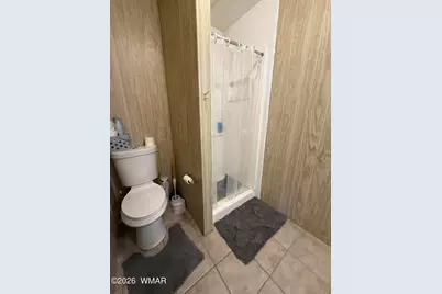 2 County Road N2160, Nutrioso, AZ 85932 - Photo 15