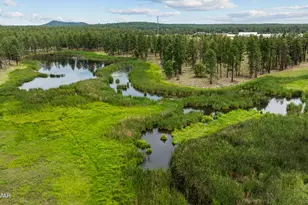 1261 W Big Springs Trail, Lakeside, AZ 85929 - Photo 5