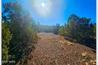 29 Co Rd 3199, Vernon, AZ 85940 - Photo 23
