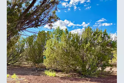 29 Co Rd 3199, Vernon, AZ 85940 - Photo 7