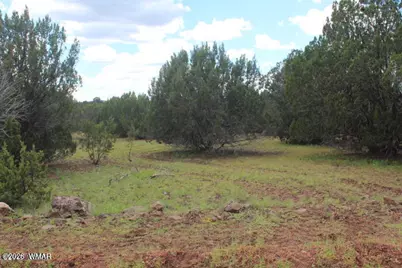 29 Co Rd 3199, Vernon, AZ 85940 - Photo 13