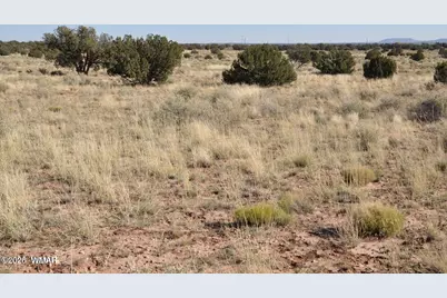 5039 N Pima Road, Snowflake, AZ 85937 - Photo 19