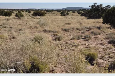 5039 N Pima Road, Snowflake, AZ 85937 - Photo 3