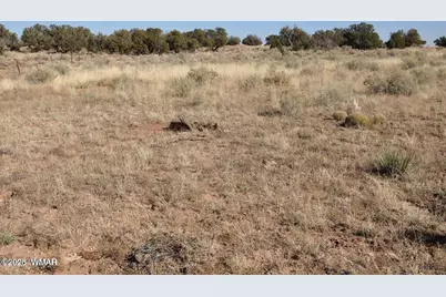 5039 N Pima Road, Snowflake, AZ 85937 - Photo 17