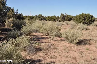 5039 N Pima Road, Snowflake, AZ 85937 - Photo 7