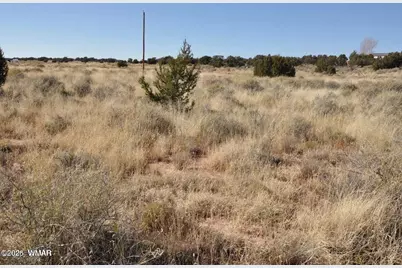 5039 N Pima Road, Snowflake, AZ 85937 - Photo 15