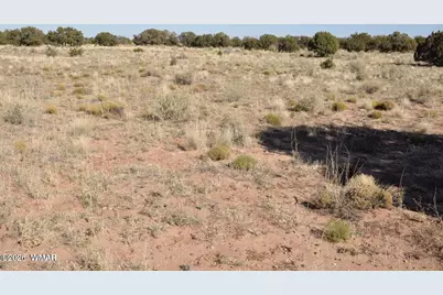 5039 N Pima Road, Snowflake, AZ 85937 - Photo 9