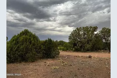 4265 E Pinto Road, Snowflake, AZ 85937 - Photo 3