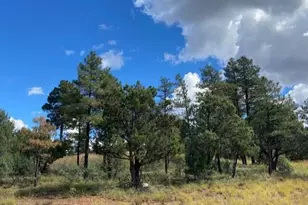 2101 W Whispering Springs, Show Low, AZ 85901 - Photo 1