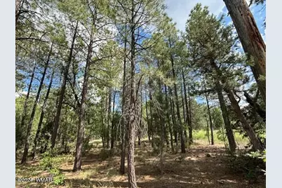 2340 W Pinegrass Road, Show Low, AZ 85901 - Photo 3