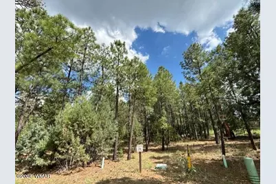 2340 W Pinegrass Road, Show Low, AZ 85901 - Photo 1