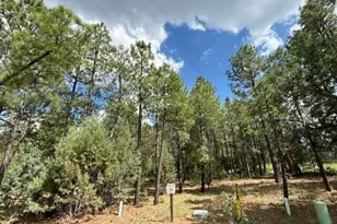 2340 W Pinegrass Rd, Show Low, AZ 85901 - Photo 1