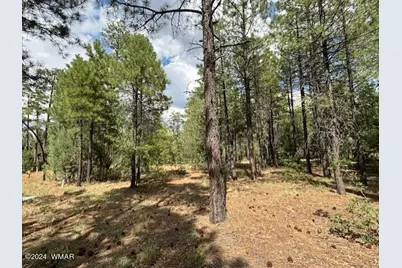 2340 W Pinegrass Road, Show Low, AZ 85901 - Photo 5