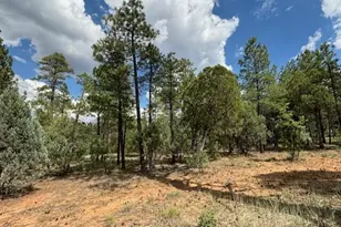 2341 W Pinegrass Rd, Show Low, AZ 85901 - Photo 1