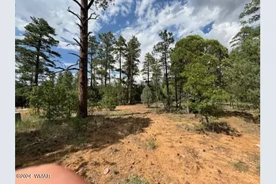 2341 W Pinegrass Road, Show Low, AZ 85901 - Photo 5