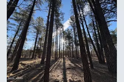 2360 Narrow Leaf Lane, Show Low, AZ 85901 - Photo 3