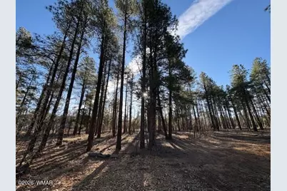 2360 Narrow Leaf Lane, Show Low, AZ 85901 - Photo 5