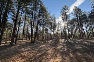 2360 Narrow Leaf Ln, Show Low, AZ 85901 - Photo 1