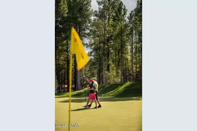 2360 Pinegrass Road, Show Low, AZ 85901 - Photo 5