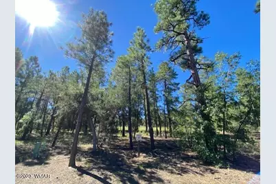 2360 Pinegrass Road, Show Low, AZ 85901 - Photo 1