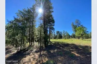 2360 Pinegrass Road, Show Low, AZ 85901 - Photo 3