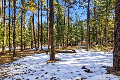 32 N1068, Greer, AZ 85927 - Photo 7
