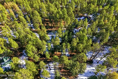 32 N1068, Greer, AZ 85927 - Photo 13