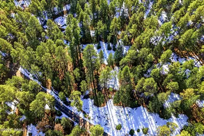 32 N1068, Greer, AZ 85927 - Photo 3