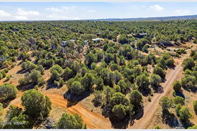 3580 Powerline Drive, Overgaard, AZ 85933 - Photo 33