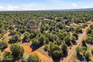 3580 Powerline Dr, Overgaard, AZ 85933 - Photo 33