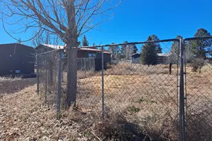 7022 Kims Way, Show Low, AZ 85901 - Photo 37