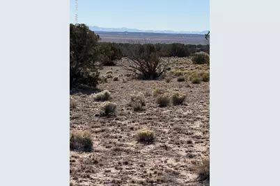 Tbd N6549, Saint Johns, AZ 85936 - Photo 1